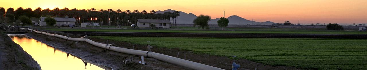 Irrigation at sunset